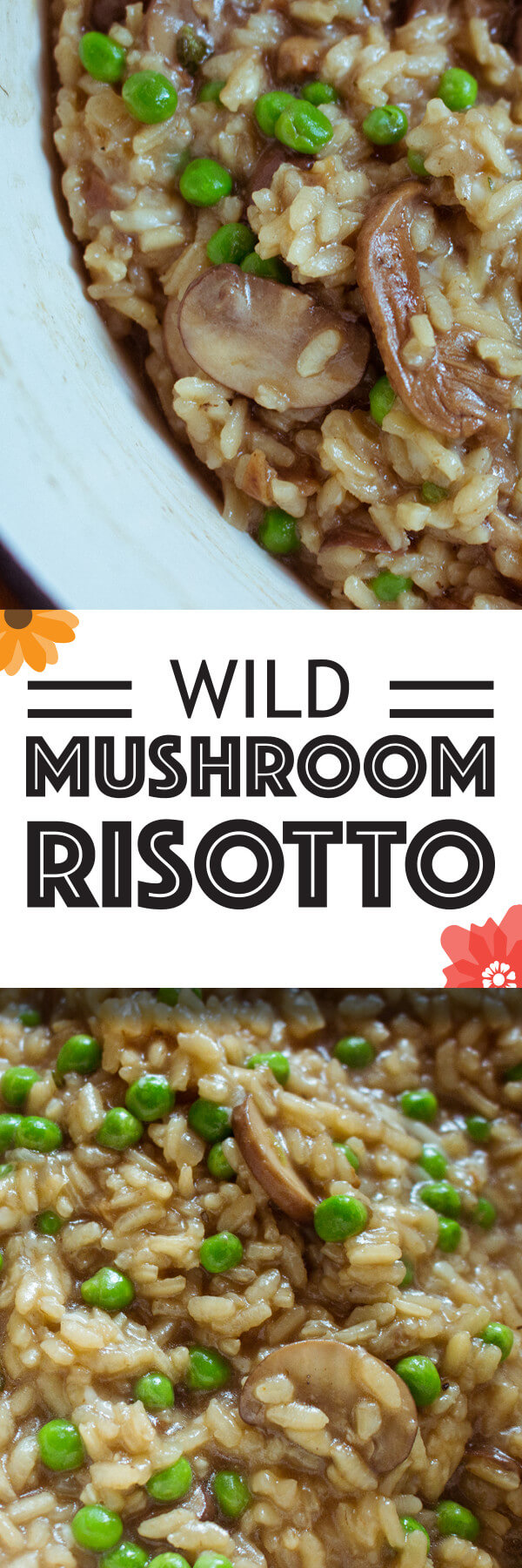 Wild_Mushroom_Risotto