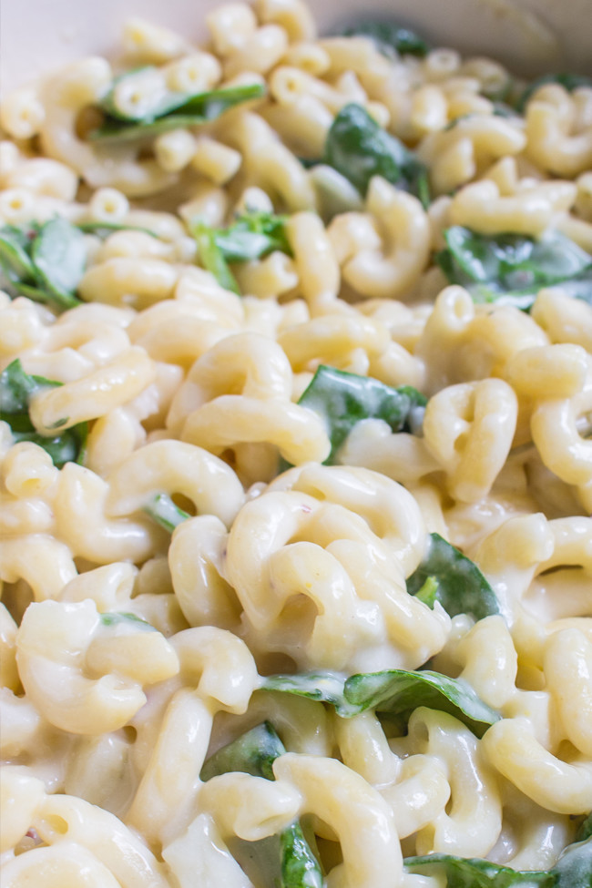 Mac and Cheese- This is the best grown up version of the classic Mac and Cheese. The mixture of Fontina and Aged cheddar makes a creamy delicious sauce.