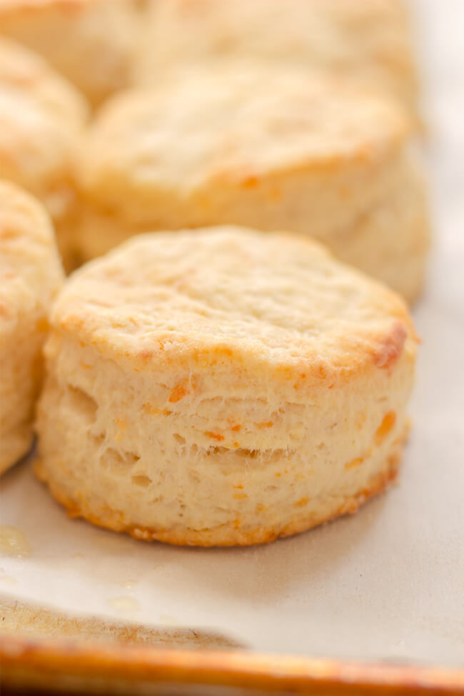 These flaky buttermilk parmesan biscuits are so fluffy and light with the perfect hint of freshly grated parmesan cheese and tangy buttermilk.