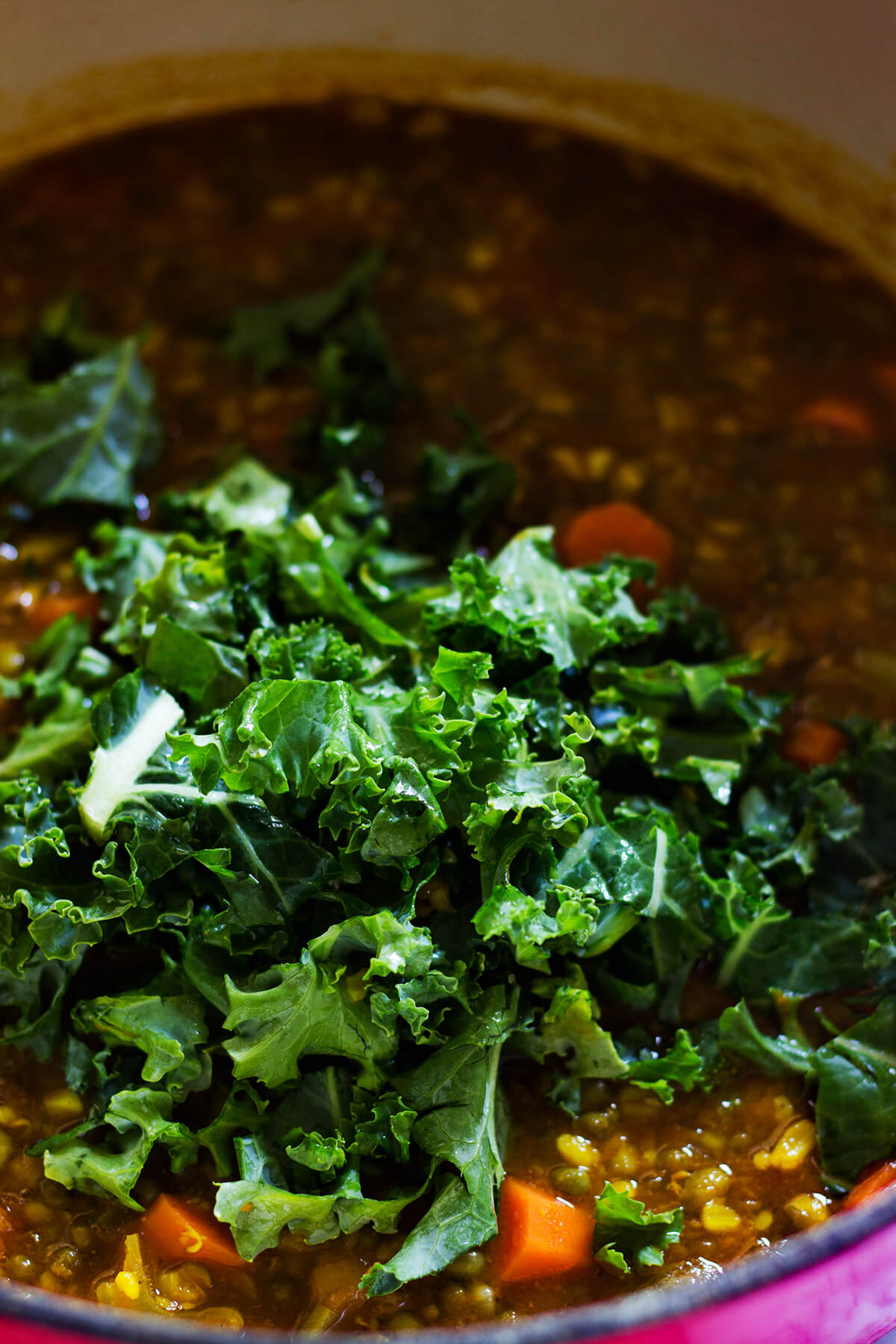 This mung bean soup hits every note for a perfect meal- it is warming and filling, creamy and chunky, spiced but not spicy. It just makes sense once you try it!